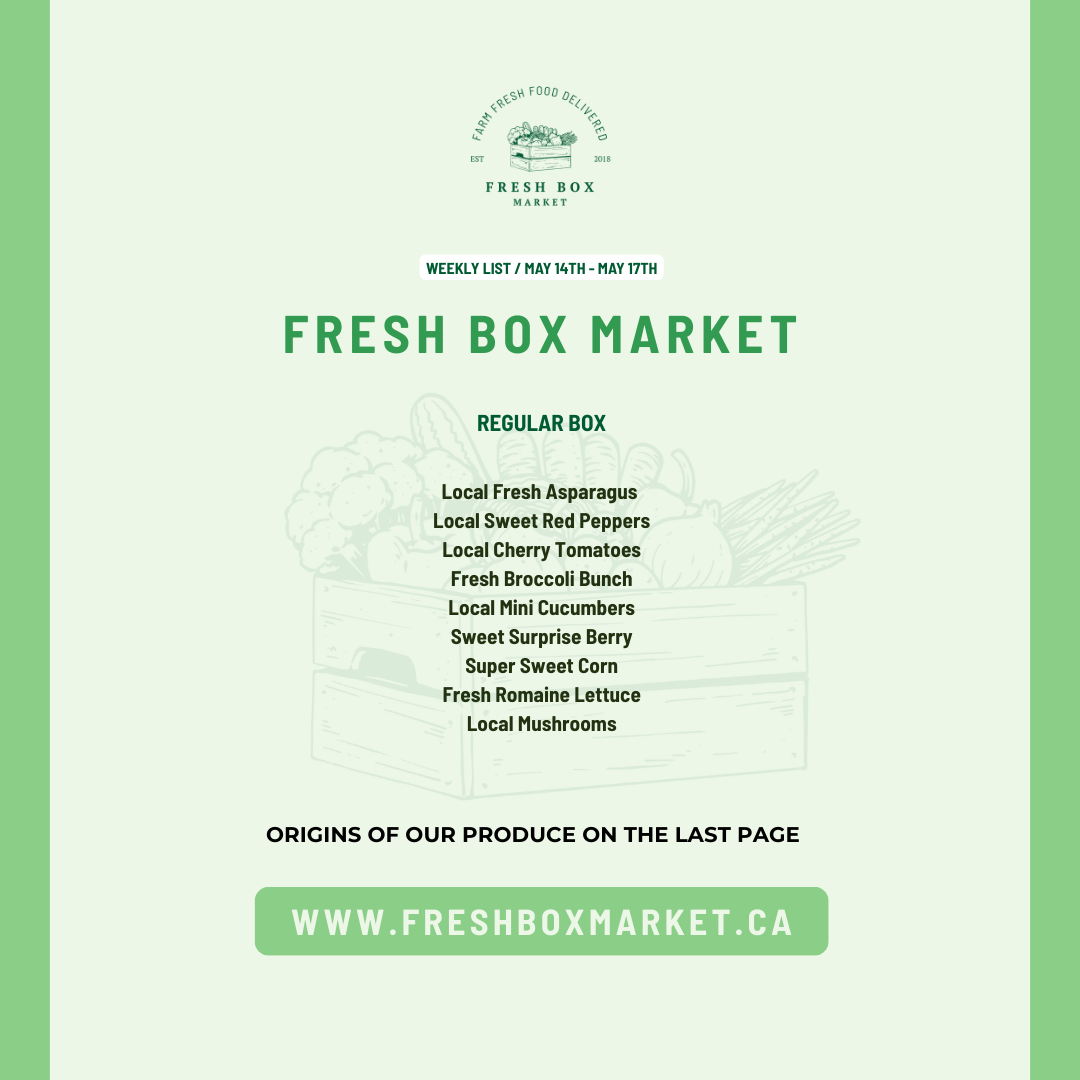 REGULAR BOX