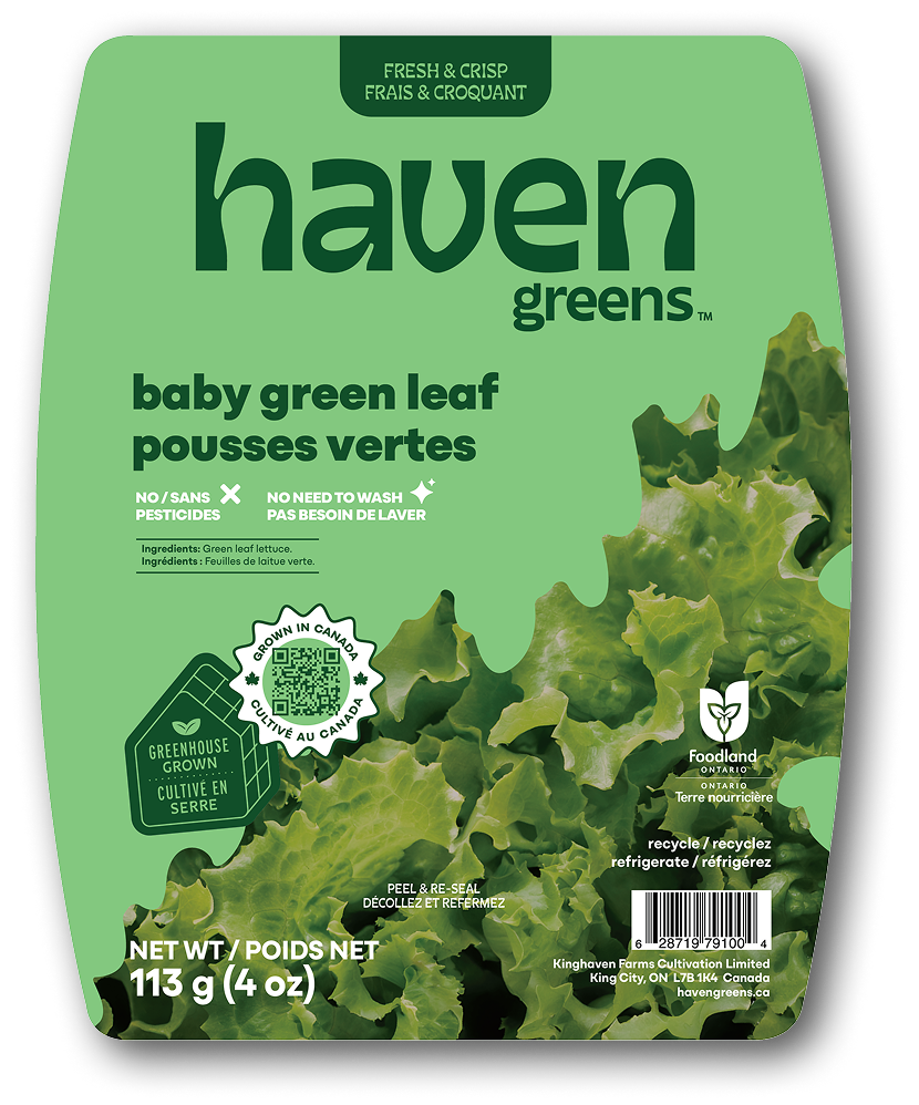 Baby Green Leaf - Haven Greens (Local!)