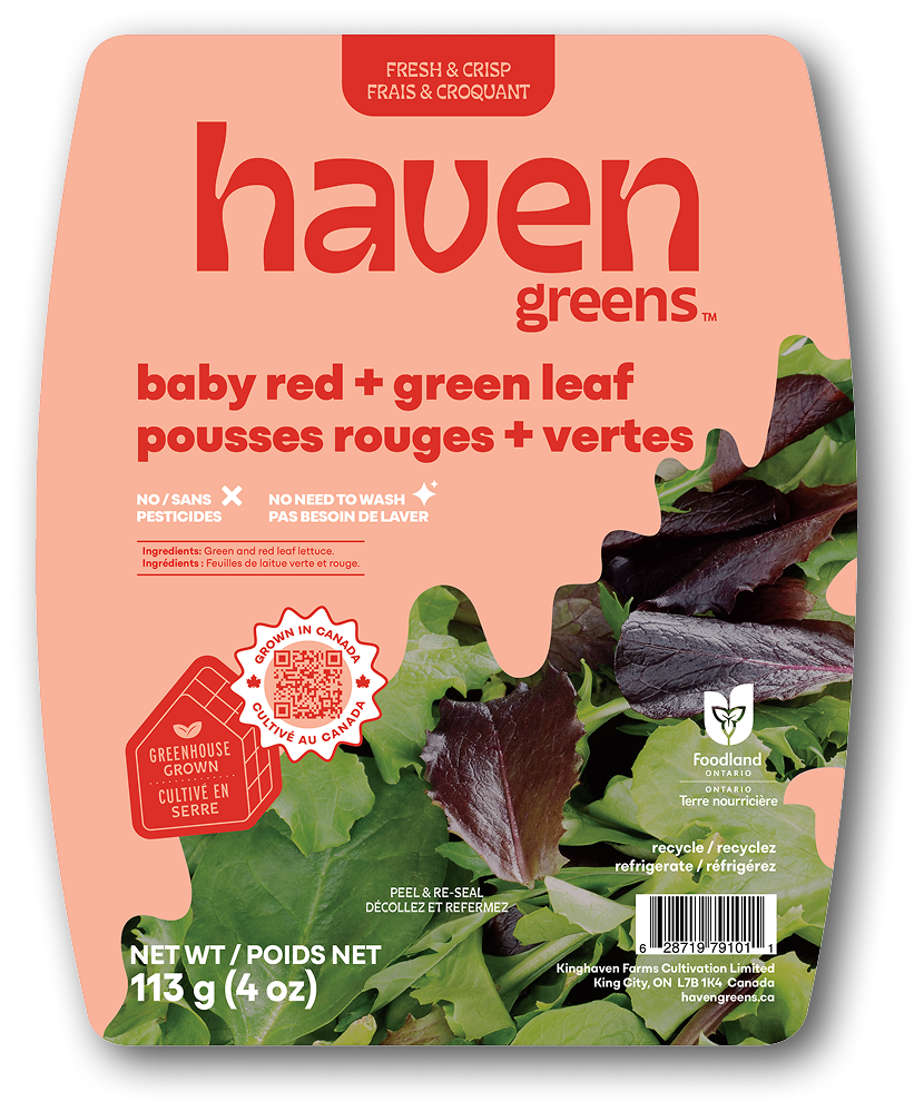 Baby Red + Green Leaf Lettuce - Haven Greens: Local!
