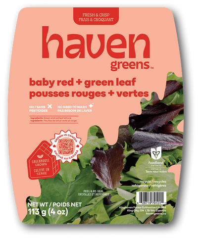 Baby Red + Green Leaf Lettuce - Haven Greens: Local!