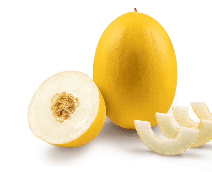 Sweet Canary Melon