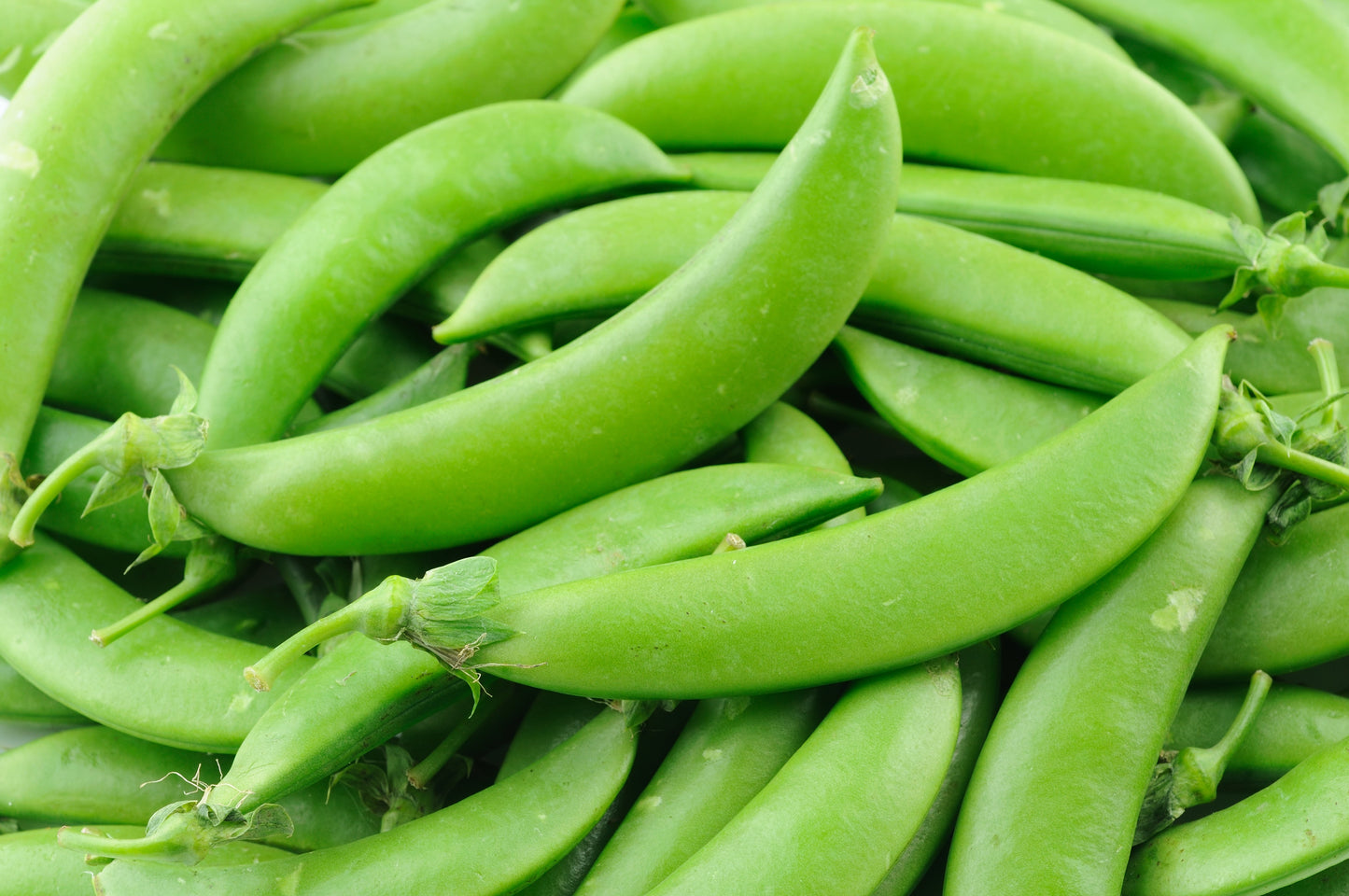 Sugar Snap Peas (1qt) (Local)
