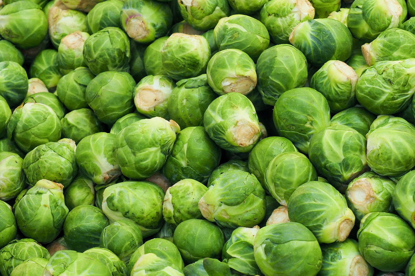 Brussel Sprouts π¨π¦