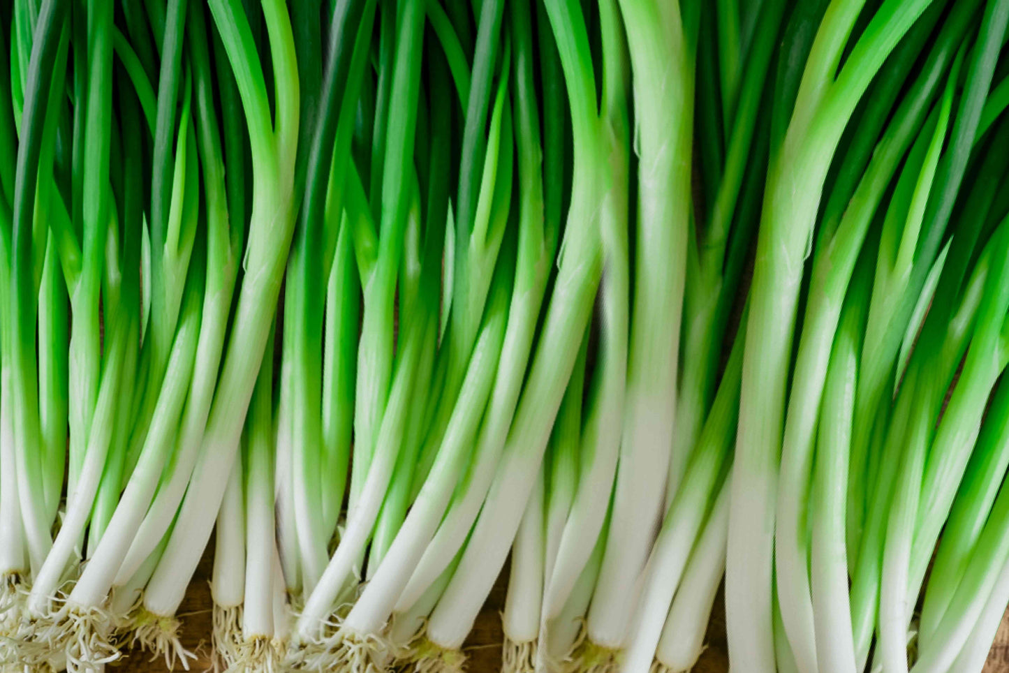 Green Onions (2) π¨π¦