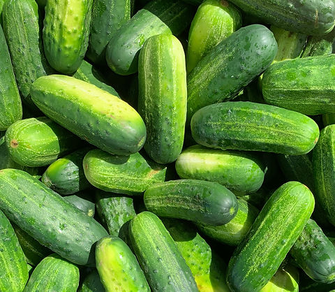 Local Pickling Cucumbers (medium size) half bushel