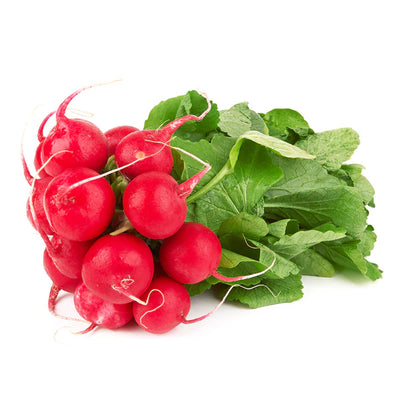 Radish (16oz) cello/bunch