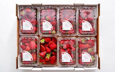 Sweet Strawberry Flats! 8x1