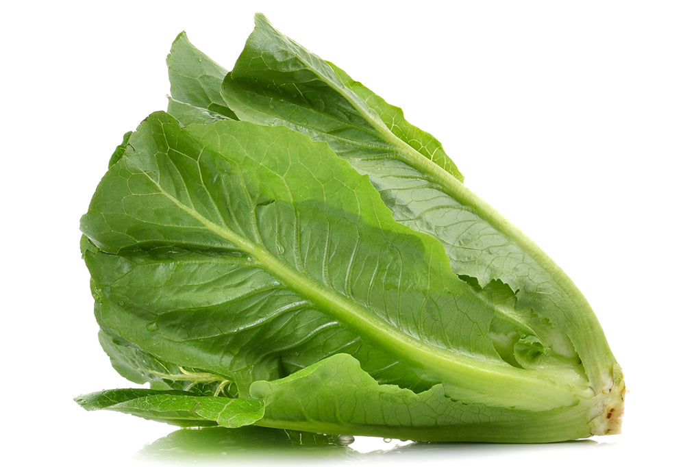 Romaine Lettuce