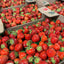 Ontario Sweet Field Strawberry Flats - Pickup Thursday, June 18th (Fergus). 10x1 🍓 BIG BOX