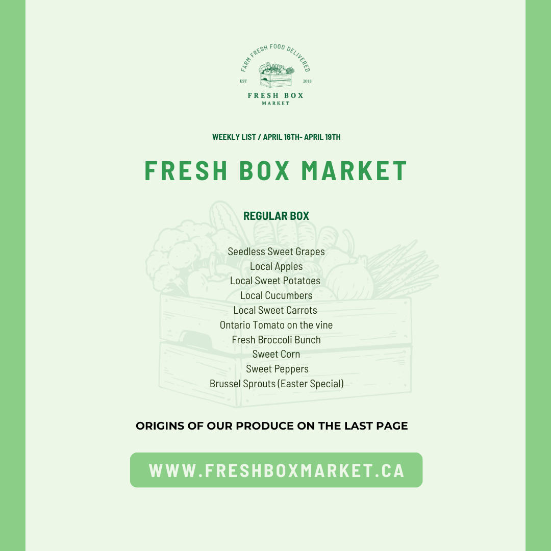 REGULAR BOX