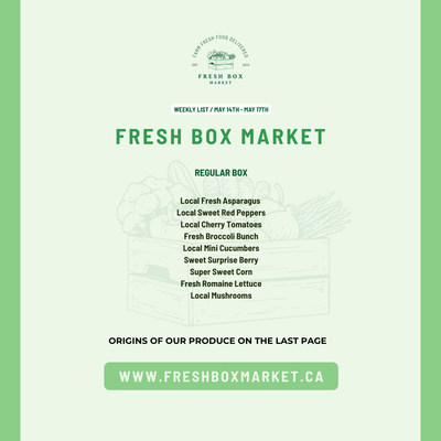 REGULAR BOX