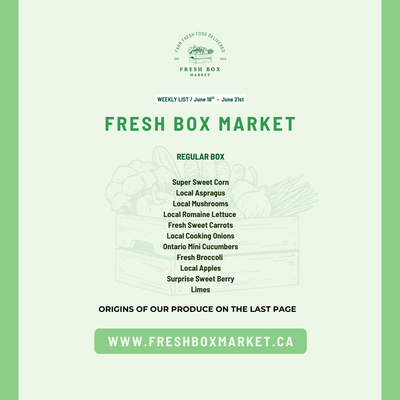 REGULAR BOX