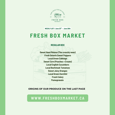 REGULAR BOX