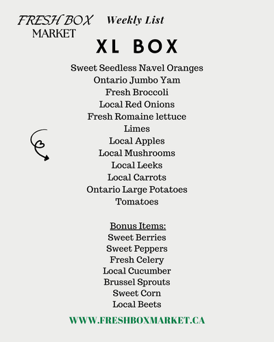 XL BOX