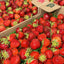 Ontario Sweet Field Strawberry Flats - Pickup Thursday, June 18th (Fergus). 10x1 🍓 BIG BOX