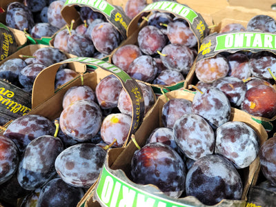 Niagara Purple Plums (quart)