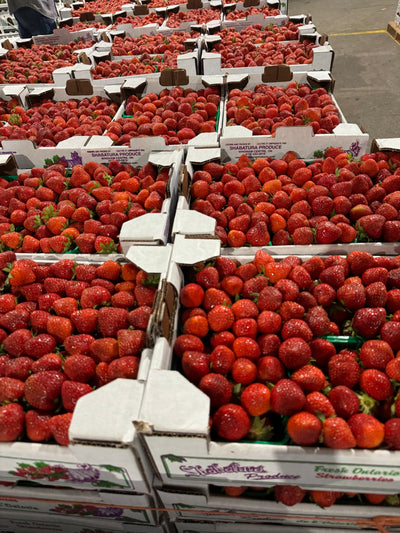 Ontario Strawberry Flats (flat of 6)
