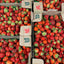 Ontario Sweet Field Strawberry Flats - Pickup Thursday, June 18th (Fergus). 10x1 🍓 BIG BOX