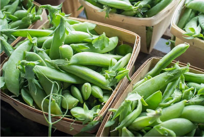 Local Sweet Peas (Shelling) 1 quart 🇨🇦