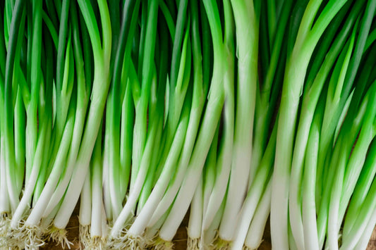 Green Onions (2)