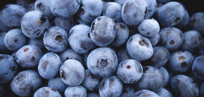 Sweet Blueberries (Crunchy) Air Flown In (PERU)