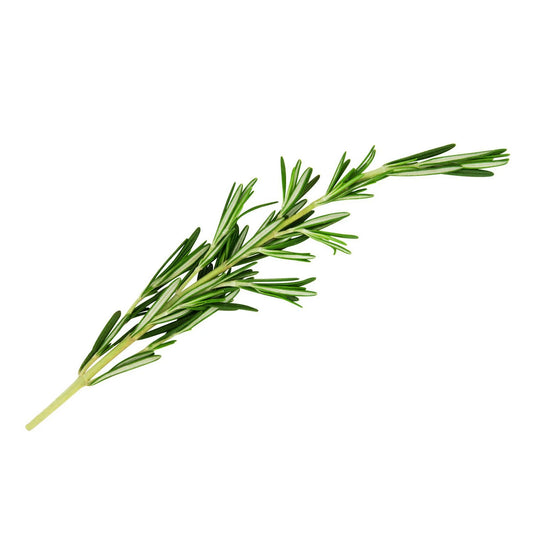 Fresh Rosemary (Bunch)