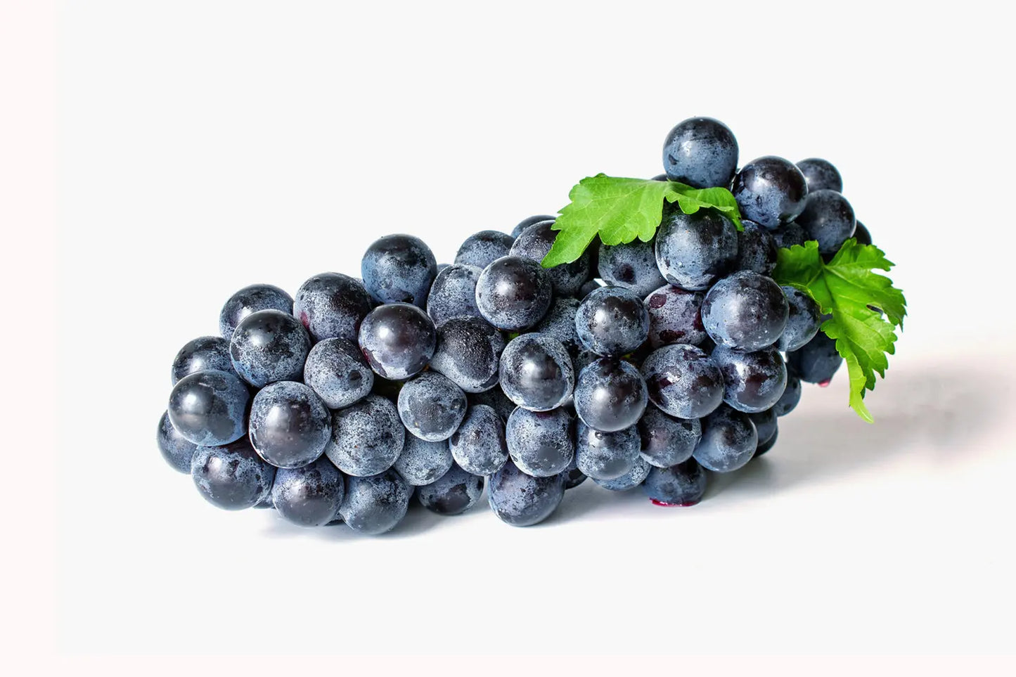 CANDY Seedless Black Sweet Grapes (this week only) CRUNCHY!