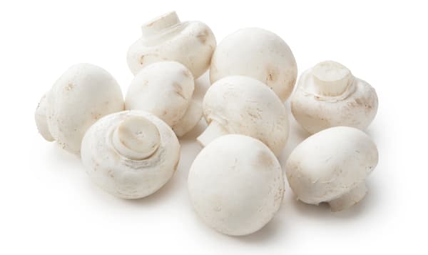 White Cello Mushrooms (8oz)